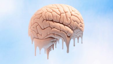 Defy Cognitive Decline: How NeuroNation Powers Your Brain to Stay Sharp